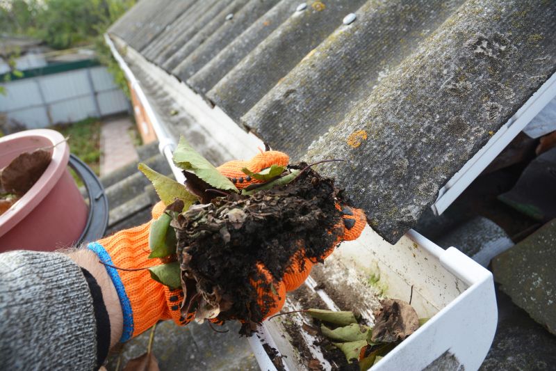 Roof Gutter Cleaning in Baltimore, MD