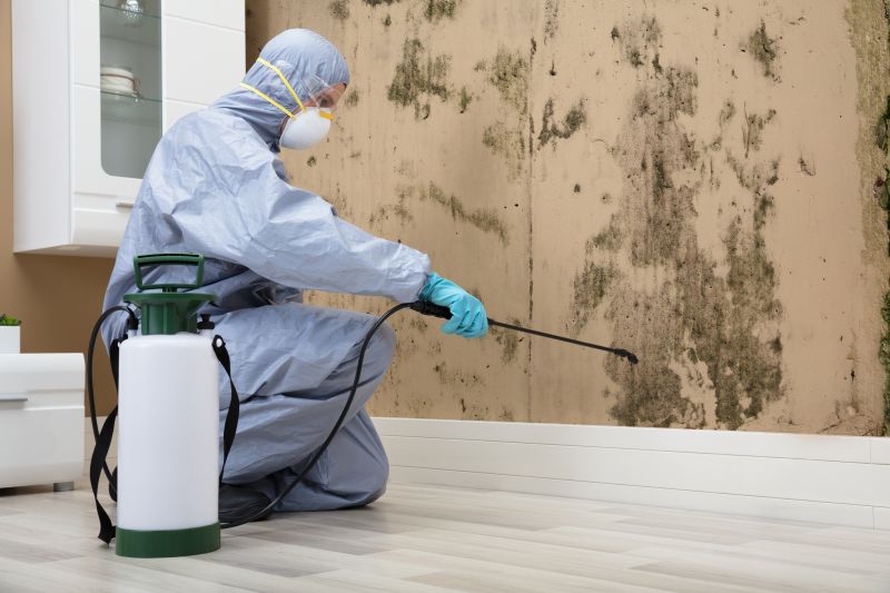 Mold and Mildew Removal
