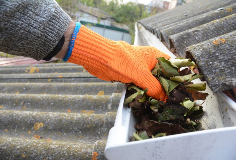 Roof Gutter Cleaning in Fredericksburg, VA
