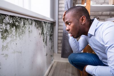 Mold and Mildew
