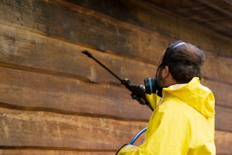 Wood Siding After Cleaning
